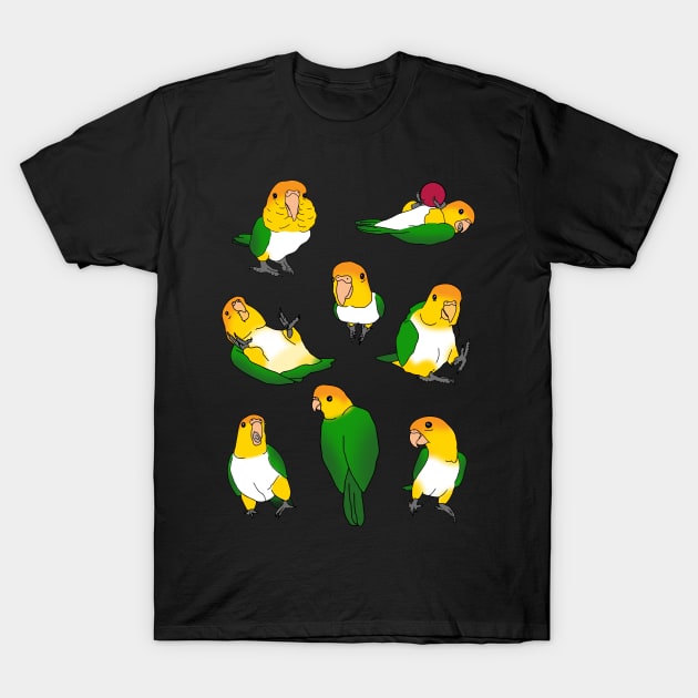 caique doodle pattern T-Shirt by FandomizedRose